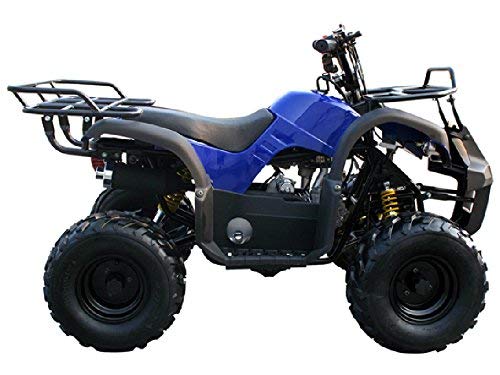 MOTOR HQ 125cc ATV Fully Automatic Four Wheelers 4 Stroke Engine 7